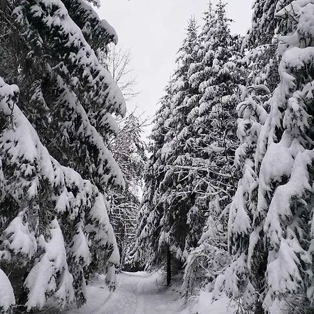 Dren - Banjska Stena *