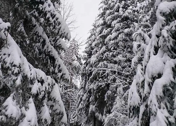 Dren - Banjska Stena *