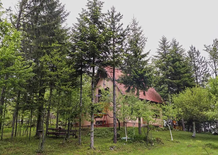 Dren - Banjska Stena * Mitrovac